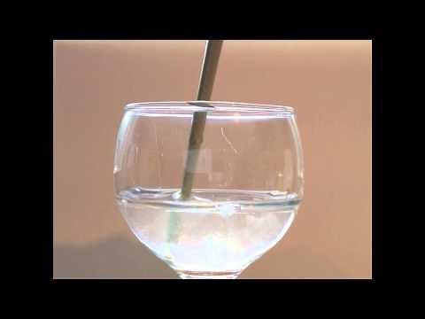 table salt dissolves in water
