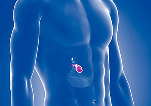 Para qué sirve la vesícula y sus principales problemas - CMED