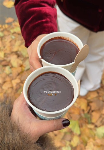 Happy September 1st 🍂☕️🧸🤎 It’s officially fall!! 📍Locations: Richmond Hill Tulley’s Farm Daunt books Tomtom coffee house Gelateria Danieli Debbie Jo Italian Bear Chocolate Covent Garden #autumn #fallvibes #fallaesthetic #autumnaesthetic #fall