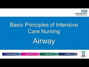 Basic Principles of Intensive Care Nursing, Airway