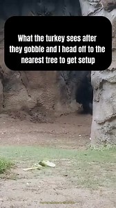 1.9M views · 3.3K reactions | "He's coming, he's coming." : @turkey.hunting #TurkeySeason #Outdoors #Hunting | Field & Stream | Facebook