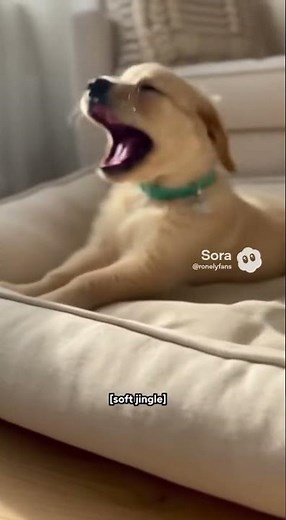 Morning Stretch and Yawn Puppy ASMR