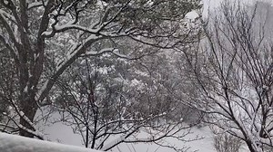 71K views · 1.4K reactions | The view from Prescott where the city...