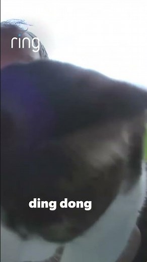 *Ding dong ding*