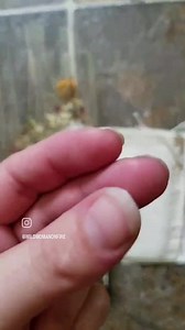 Postpartum Herbal Sitz Bath Organic Soothing Blend for Peri Support, Childbirth Recovery, & Natural Relief for New Moms Gift Box Set - Etsy