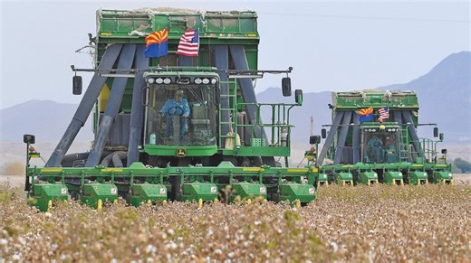 EPA reapproves herbicide dicamba with some restrictions