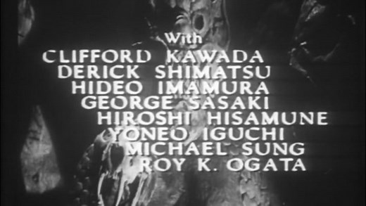 Varan The Unbelieveable