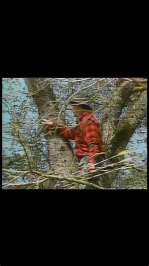 Don't Just Practice on Level Ground: Master the Tree Stand Shot