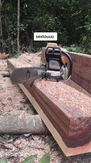 Chainsaw Techniques for Precision Log Cutting