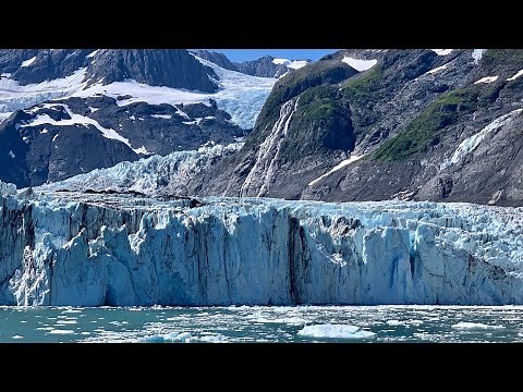 26 Glacier Tour 🛳 🧊 - Whittier, Alaska