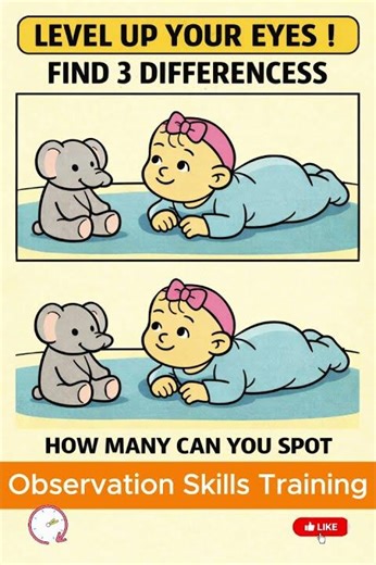 Visual Detail Recognition Training