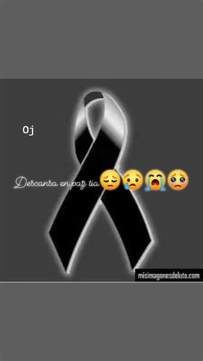 Jose Luis Mendez on TikTok