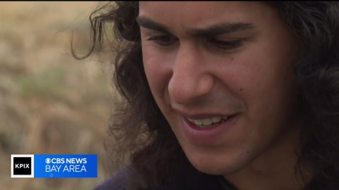 Recycled oyster shells being used for San Francisco marine restoration project