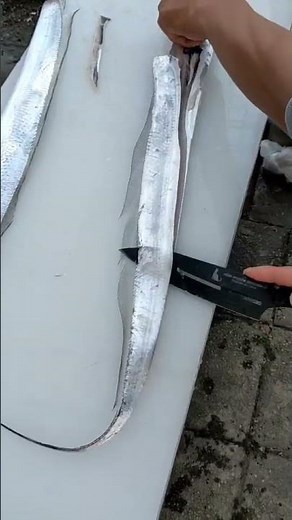 超～簡単 太刀魚の捌き方