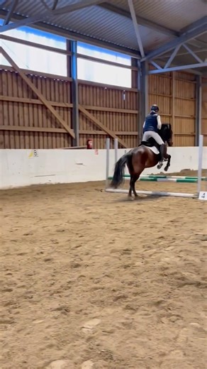 Vähän jäljessä tulee mut Kinkku oli ihan super estekisois!🔥Lue kuvaus😉#80smusic#nostalgia#popmusic