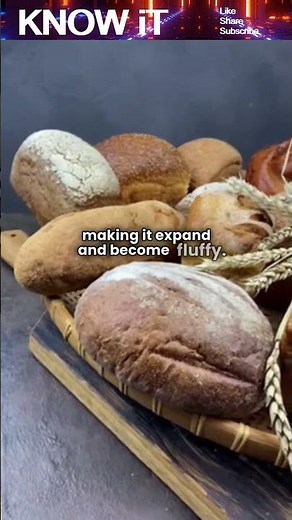 Why does Bread rise?
