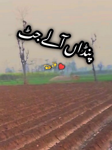 Jutt Life: Unleashing Punjabi Spirit