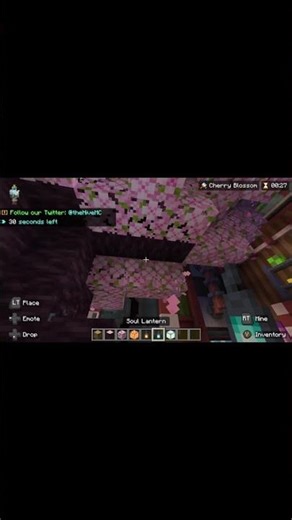 Minecraft Buiuld battle, Cherry blossom