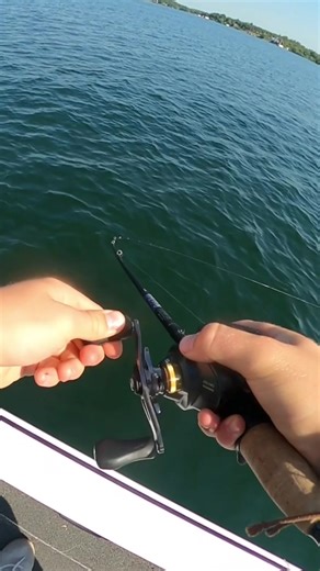 Topwater action in 20 feet of water?