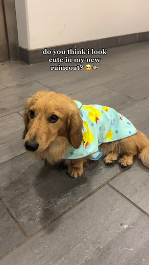 TELL HIM HE LOOKS CUTE