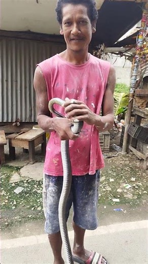 How is possible snake capture by hand? #snakerescue #snakebite