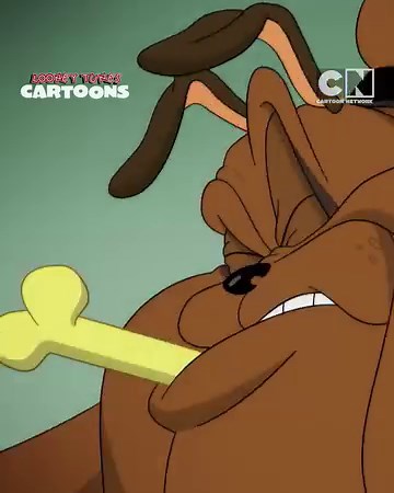 Who said Dogs and Cats can't be best friends? We've got an adorable exception right here! 🐶🐱 📺 Looney Tunes Cartoons: Stream on HBO Asia | Cartoon Network