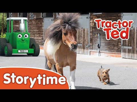 NEW Storytime - The Great Race