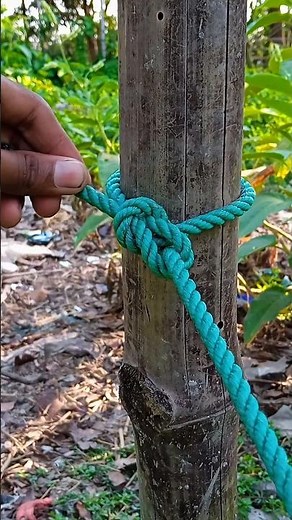 A Beginner's Guide to Basic Knots