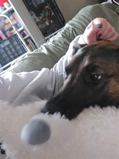 My executive dysfunction is preventing me from moving forward