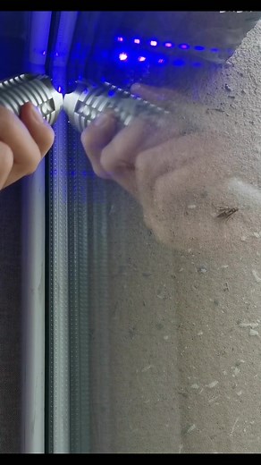 世界最強のレーザーポインターでハチの巣を撃退