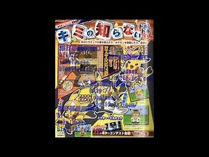 Pokemon Omega Ruby and Alpha Sapphire Update - New Gym Leader & E4 Artwork & New Contest Pikachus!