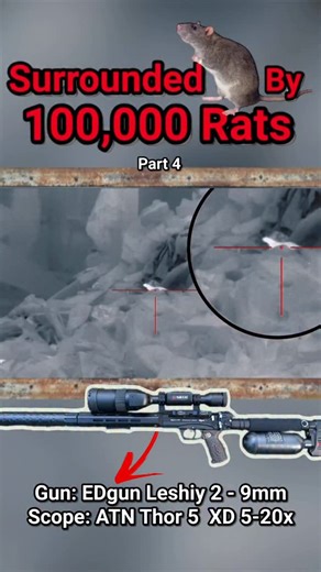Sniping rats in an infested warehouse 👀 | EDgun Leshiy Channel