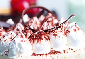 Cómo agregar números de página en InDesign: Video | Envato Tuts