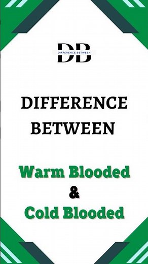 difference between Warm Blooded and Cold Blooded | The Secrets of Warm vs. Cold Blood in Nature