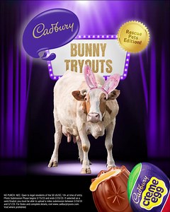 The Cadbury Bunny Tryouts are BACK! This year, it’s all about the rescue pets 🐶🐱 Enter by 2/23/23 for a chance to see your pet in the Cadbury Bunny commercial this Easter. #cadburybunnytryouts #contest No Purch. Nec. Ends at 11:59:59 PM ET on 2/23/23. 18 at time of entry, US/DC only. Official Rules: https://www.hersheyland.com/cadbury/cadbury-tryouts.html | Cadbury USA