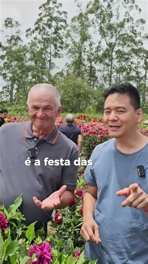 Discover the Dahlia Festival #dahlia #dalia #flowers #sunflowers #garden
