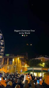 5.2K views · 77 reactions | Biggest Christmas Tree in the World ☀️  @iamsophiasanchez  Gubbio, Umbria #gubbio #umbria #christmastree | Amo l'Italia | Facebook