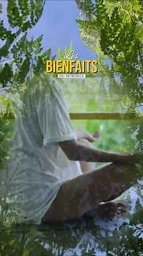 Moringa : Bienfaits, dangers, comment le consommer | Le super-aliment miracle ?