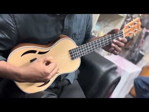 🎸 Donner Ukulele Review & Sound Test | Best Budget Guitar at Music Heaven