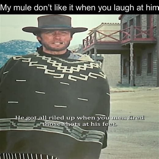 My mule don’t like it when you laugh at him | Gianni Ellis