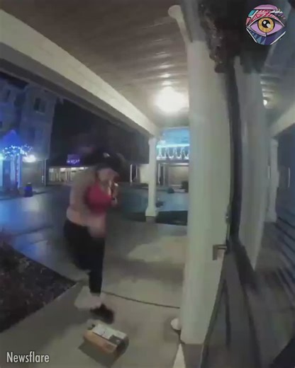 2.3M views · 10K reactions | What a stinky situation 藍 | Now I've Seen Everything | Facebook