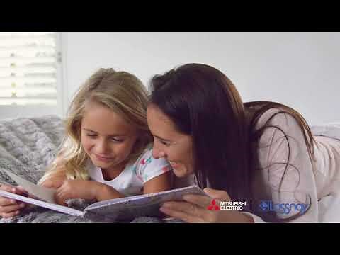 Lossnay Heat Recovery Ventilation