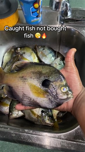 Grown: Enjoying Bone-In Fish Dishes