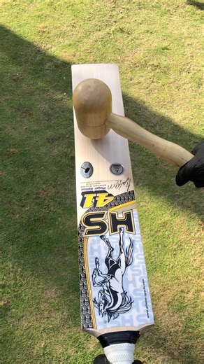Sound Check HS 41 Players Edition Bat
