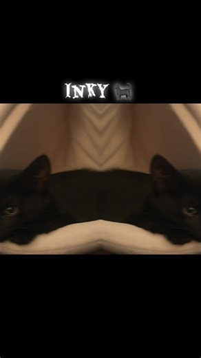 Oh you see it! (@ohyouseeit_)’s videos with original sound - Mabel