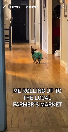 Jamiejackson (@jamiejackson132)’s videos with original sound - Jamiejackson