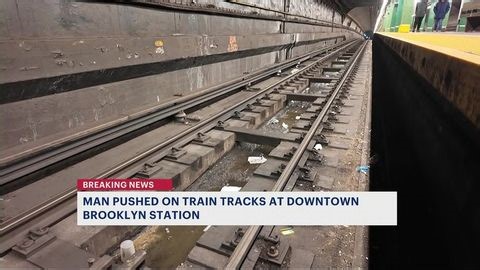 Man pushed onto subway tracks at Brooklyn station | Haystack News