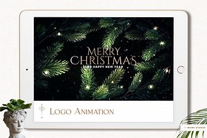 Merry Christmas Logo Reveal - Custom Logo Animation / Festive Logo Intro for Social Media / Professional Motion Graphics - Wumi Studio - Etsy