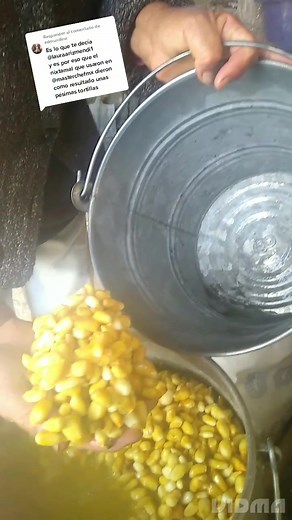 Preparación de Nixtamal para Tortillas de Maíz