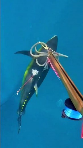 How to Catch More Fish: Simple Secrets for Success